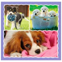 Puzzle 2D Trefl 3 in 1 Lovely dogs 3+/ Numărul de piese: 106 photo 3