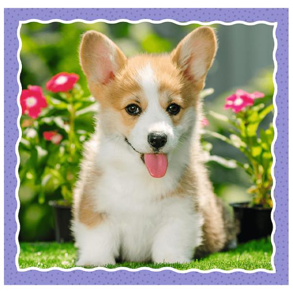 Пазл 2D Trefl 3 in 1 Lovely dogs 3+/ Количество деталей: 106 photo 4