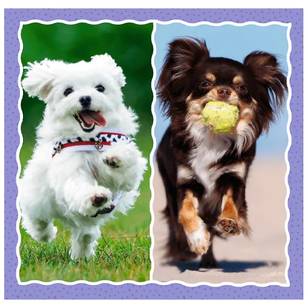 Пазл 2D Trefl 3 in 1 Lovely dogs 3+/ Количество деталей: 106 photo 5