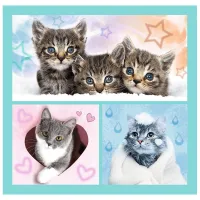 Puzzle 2D Trefl 3 in 1 Sweet animals 3+/ Numărul de piese: 106 photo 4