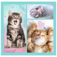 Puzzle 2D Trefl 3 in 1 Sweet animals 3+/ Numărul de piese: 106 photo 5
