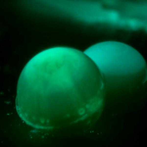 Креативный набор Bo. Slime Factory 80003112ML 8+/ Разноцветный Разноцветный photo 3