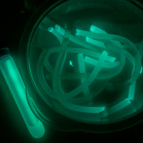 Креативный набор Bo. Slime Factory 80003112ML 8+/ Разноцветный Разноцветный photo 4