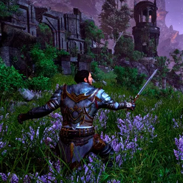 Risen Game for Nintendo Switch photo 2  Risen Game for Nintendo Switch photo 2