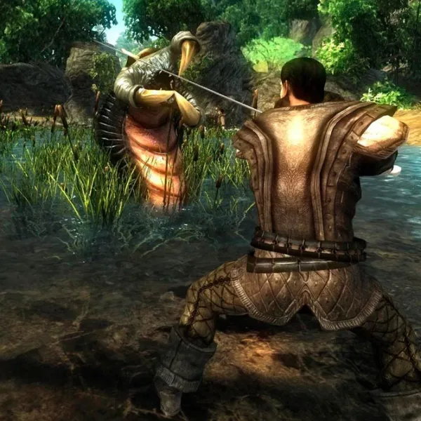 Risen Game for Nintendo Switch photo 3  Risen Game for Nintendo Switch photo 3