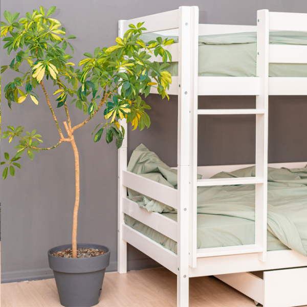 Детская кровать Mobicasa Casper 90 x 200 см/ Дерево/ Белый photo 3 Детская кровать Mobicasa Casper 90 x 200 см/ Дерево/ Белый photo 3