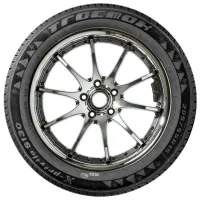 Шины TracMax X-Privilo S130 195/ 65 R15 95T XL TL M+S Зимние/ Легковой photo 2