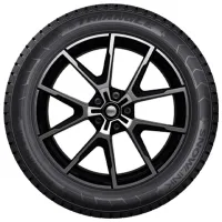Anvelope Triangle PL01 205/ 55 R16 94R Iarnă/ Autoturism photo 2