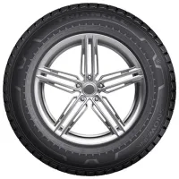 Anvelope Triangle LL01 215/ 65 R16C 109/ 107Q Iarnă/ Camionetă photo 2