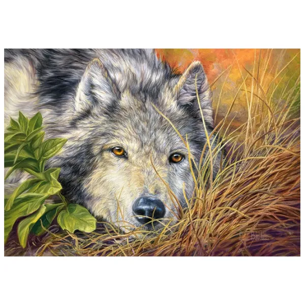 Пазл 2D Castorland Pure Soul 9+/ Количество деталей: 500 photo 2