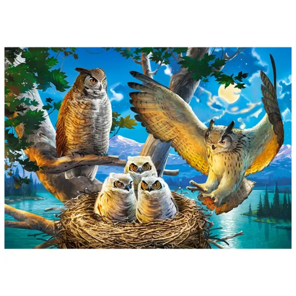Puzzle 2D Castorland Owl Family 9+/ Numărul de piese: 500 photo 2