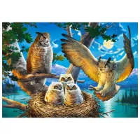 Puzzle 2D Castorland Owl Family 9+/ Numărul de piese: 500 photo 2