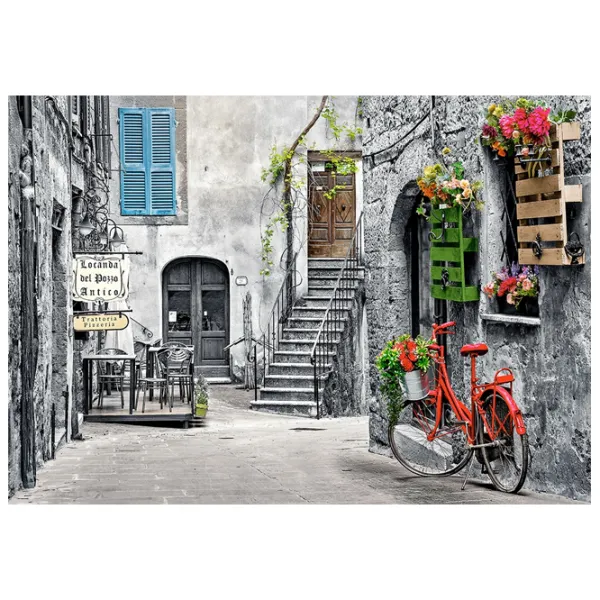 Пазл 2D Castorland Charming Alley Whit Red Bicycle 9+/ Количество деталей: 500 photo 2