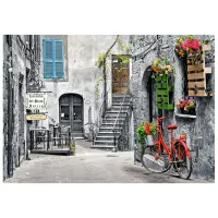 Puzzle 2D Castorland Charming Alley Whit Red Bicycle 9+/ Numărul de piese: 500 photo 2