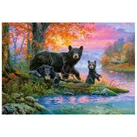 Puzzle 2D Castorland Fishing Spot 9+/ Numărul de piese: 1000 photo 2