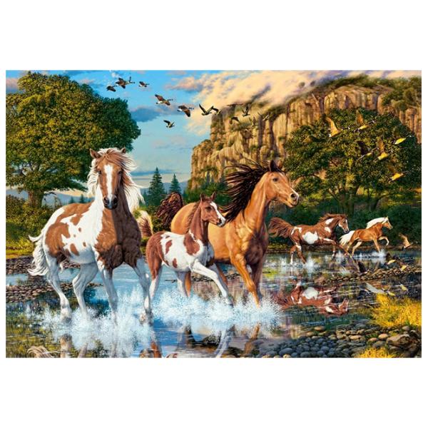 Puzzle 2D Castorland Horse Wonderland 9+/ Numărul de piese: 1000 photo 2