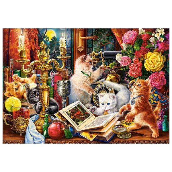 Puzzle 2D Castorland Wizard Kittens 9+/ Numărul de piese: 1000 photo 2