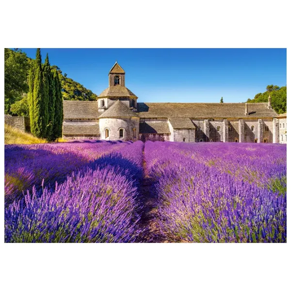 Пазл 2D Castorland Lavender Field in Provence (France) 9+/ Количество деталей: 1000 photo 2