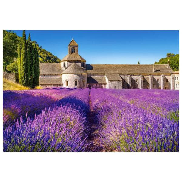Пазл 2D Castorland Lavender Field in Provence (France) 9+/ Количество деталей: 1000 photo 2