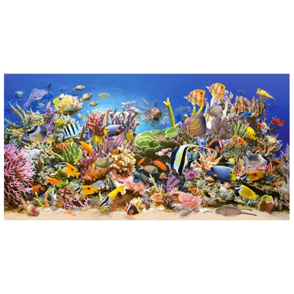 Puzzle 2D Castorland Underwater Life 9+/ Numărul de piese: 4000 photo 2