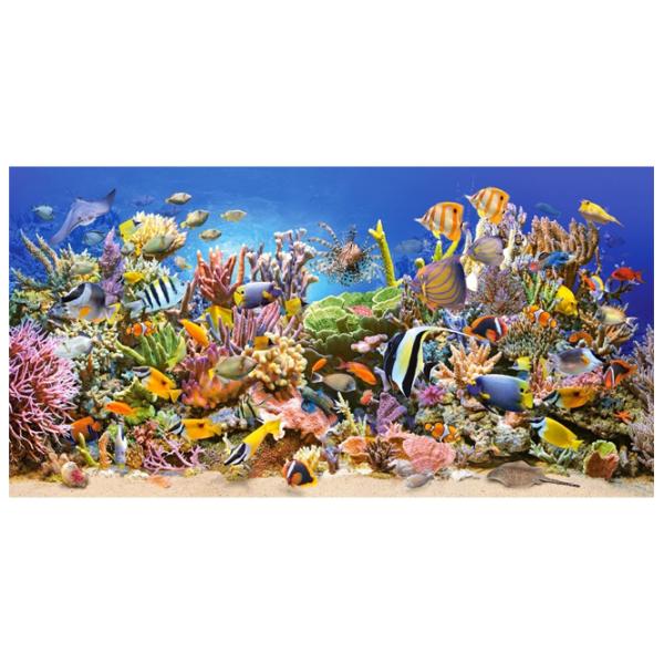 Puzzle 2D Castorland Underwater Life 9+/ Numărul de piese: 4000 photo 2