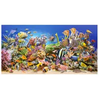 Puzzle 2D Castorland Underwater Life 9+/ Numărul de piese: 4000 photo 2