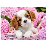 Puzzle 2D Castorland Pup in Punk Flowers 7+/ Numărul de piese: 180 photo 2