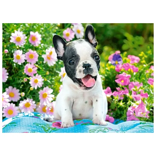 Пазл 2D Castorland French Bulldog Puppy 5+/ Количество деталей: 70 photo 2