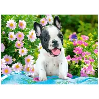 Puzzle 2D Castorland French Bulldog Puppy 5+/ Numărul de piese: 70 photo 2