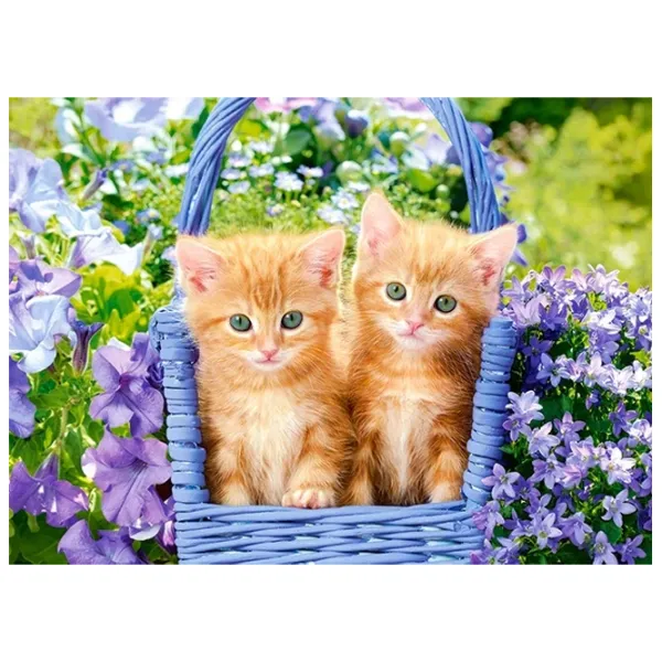 Puzzle 2D Castorland Ginger Kittens 5+/ Numărul de piese: 70 photo 2