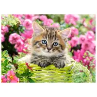 Puzzle 2D Castorland Kitten in Flower Garden 6+/ Numărul de piese: 100 photo 2