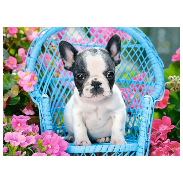 Puzzle 2D Castorland French Bulldog Puppy 6+/ Numărul de piese: 100 photo 2