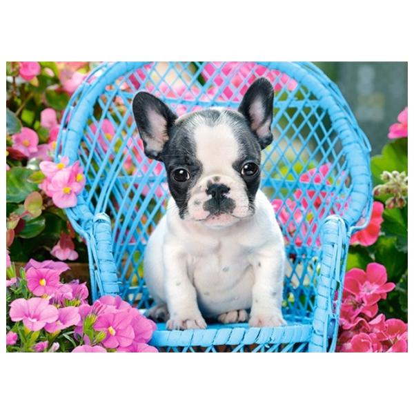 Puzzle 2D Castorland French Bulldog Puppy 6+/ Numărul de piese: 100 photo 2
