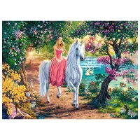 Puzzle 2D Castorland Secret Trail 6+/ Numărul de piese: 100 photo 2