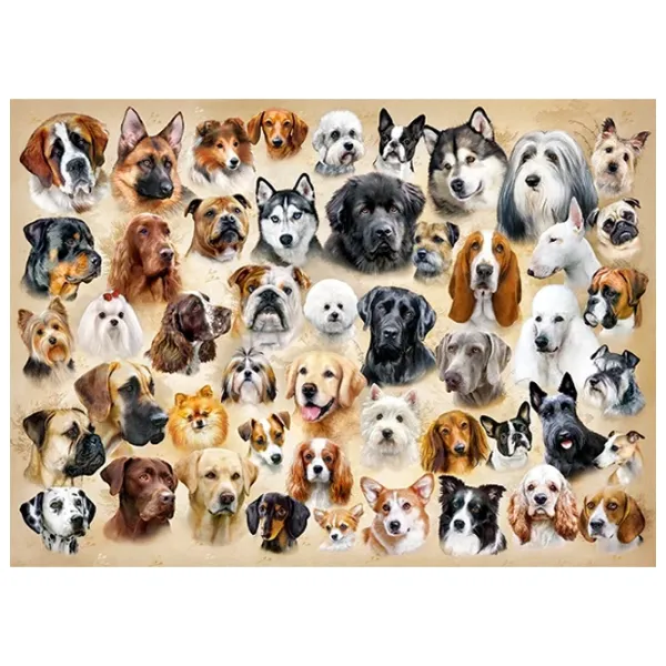 Puzzle 2D Castorland Collage with Dogs 7+/ Numărul de piese: 200 photo 2