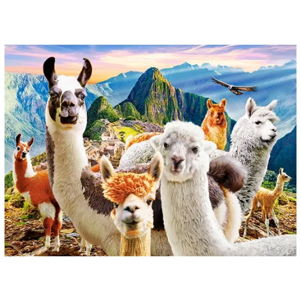Puzzle 2D Castorland Llamas Selfie 7+/ Numărul de piese: 200 photo 2