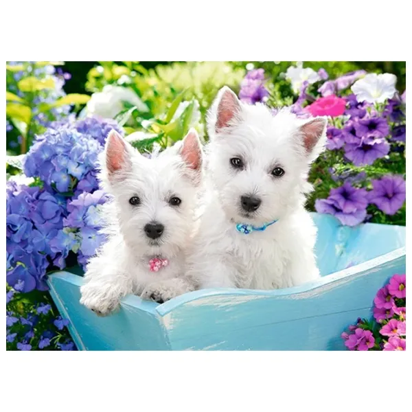 Puzzle 2D Castorland Westie Puppies 7+/ Numărul de piese: 200 photo 2