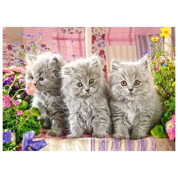 Puzzle 2D Castorland Three Grey Kittens 8+/ Numărul de piese: 260 photo 2
