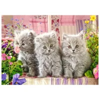 Puzzle 2D Castorland Three Grey Kittens 8+/ Numărul de piese: 260 photo 2