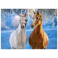 Puzzle 2D Castorland The Winter Horses 8+/ Numărul de piese: 260 photo 2