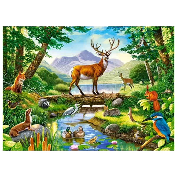 Puzzle 2D Castorland Woodland Harmony 8+/ Numărul de piese: 300 photo 2