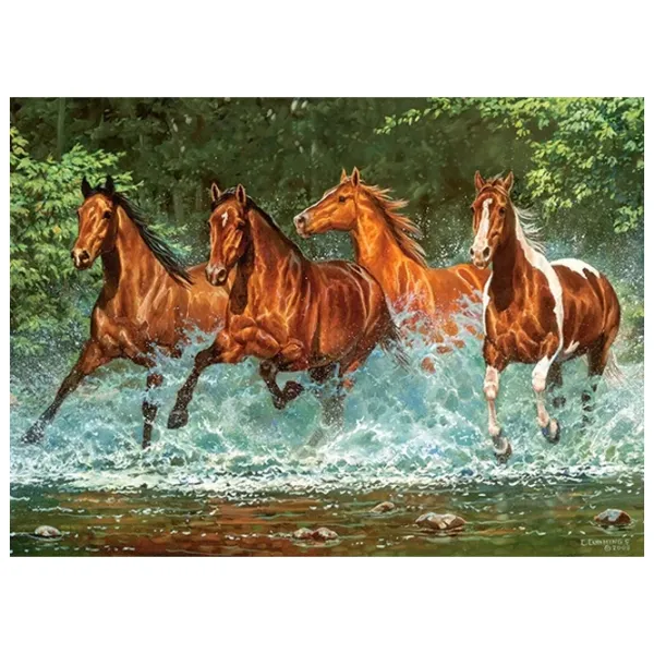 Puzzle 2D Castorland Cascade Run 8+/ Numărul de piese: 300 photo 2