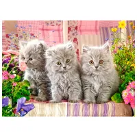 Puzzle 2D Castorland Three Grey Kittens 8+/ Numărul de piese: 300 photo 2