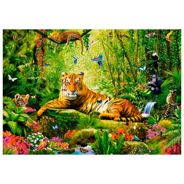 Puzzle 2D Castorland His Majesty, the Tiger 9+/ Numărul de piese: 500 photo 2