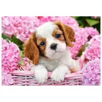 Puzzle 2D Castorland Pup in Pink Flowers 9+/ Numărul de piese: 500 photo 2