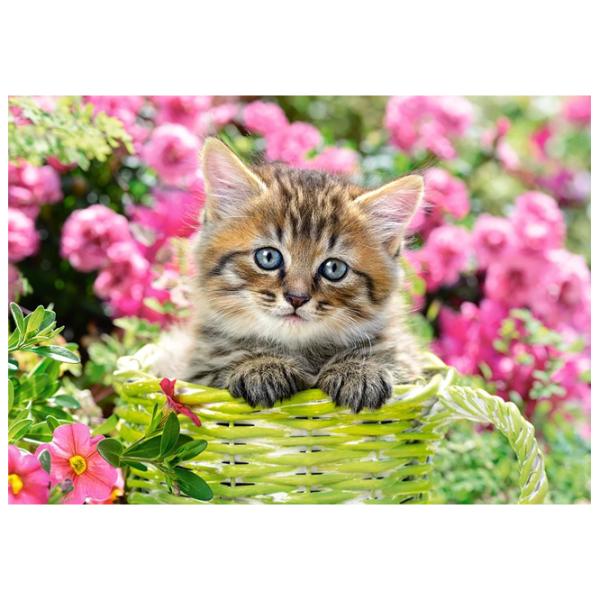 Puzzle 2D Castorland Kitten in Flower Garden 9+/ Numărul de piese: 500 photo 2