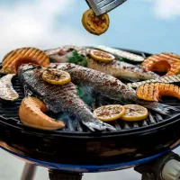 Мангал Cadac Carri Chef 50 BBQ 023203 Газ/ Мобильный photo 3