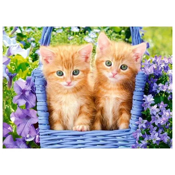 Puzzle 2D Castorland Ginger Kittens 5+/ Numărul de piese: 60 photo 2
