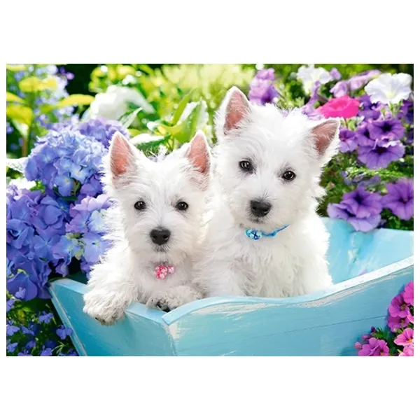 Puzzle 2D Castorland Westie Puppies 5+/ Numărul de piese: 60 photo 2