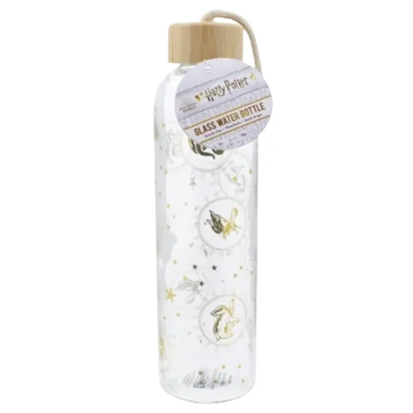 Sticlă pentru apă Paladone Glass Water Bottle Multicolor photo 2
